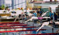 IMG_47451.jpg